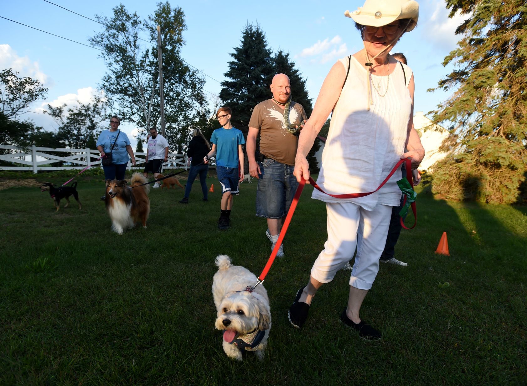 Pets on Parade